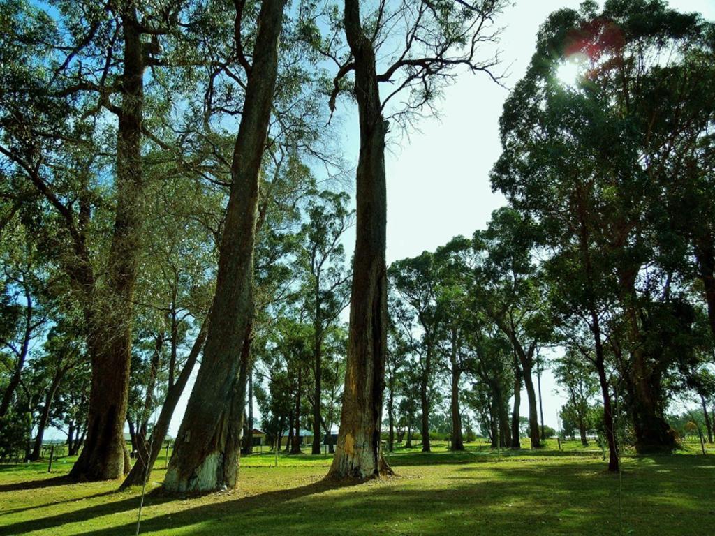 Inn The Tuarts Guest Lodge Busselton Accommodation - Adults Only Bagian luar foto
