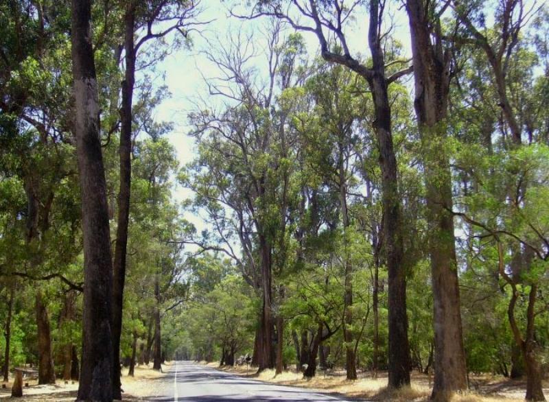 Inn The Tuarts Guest Lodge Busselton Accommodation - Adults Only Bagian luar foto